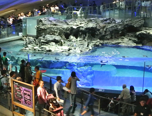 すみだ水族館招待の画像